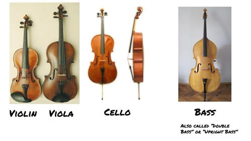 photo displaying a violin, a viola, a cello, and a bass